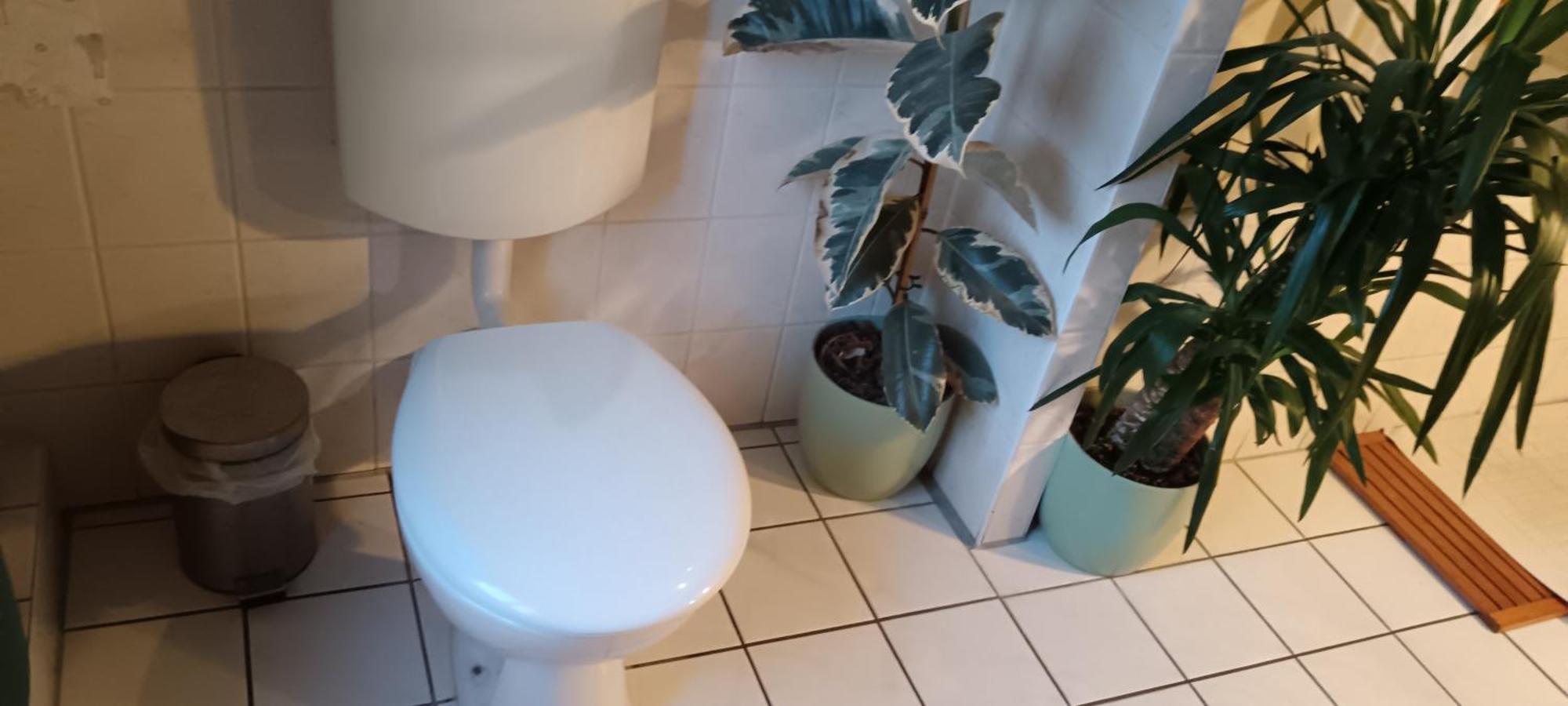 Sharing Bedroom With Host Near Alexanderplatz Hostel